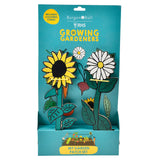 RHS Growing Gardeners 'My Garden Patch' stake and string set, flower garden, by Burgon & Ball