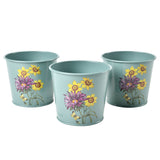 Burgon & Ball RHS Gifts for Gardeners 'Asteraceae' set of three herb pots