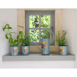 Burgon & Ball RHS Gifts for Gardeners 'Asteraceae' set of three herb pots