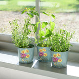Burgon & Ball RHS Gifts for Gardeners 'Asteraceae' set of three herb pots