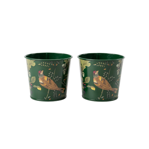 RHS Gifts for Gardeners 'Woodland Wonders' Herb Pots by Burgon & Ball