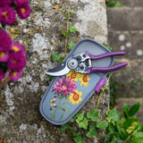 Burgon and Ball RHS Gifts for Gardeners 'Asteraceae' pruner and set in a gift tin