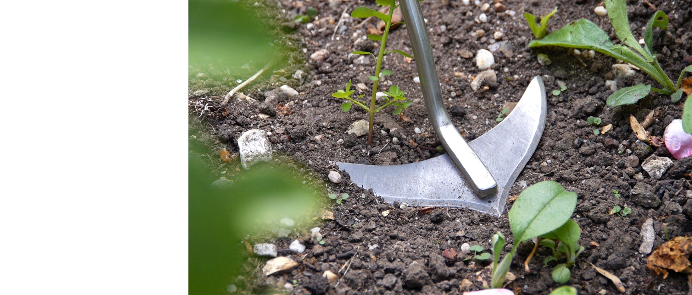 Burgon & Ball Erdmeser - Couteau De Jardin Pour Désherber Gazon Et Massifs Avec Précision