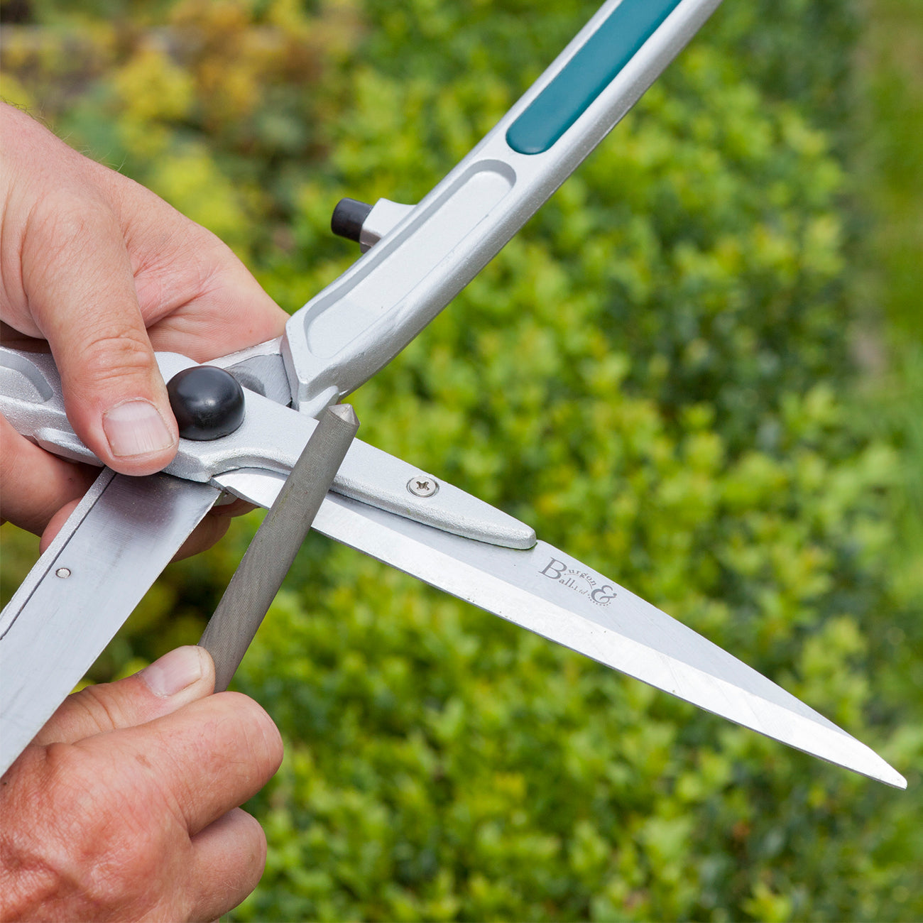 Sharpening Steel | Burgon & Ball – Burgon and Ball