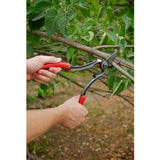Corona Max Forged Convertible Branch & Stem Pruner from Burgon & Ball
