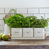 3 Herb Pots in a leather handled tray by Burgon & Ball - Stone