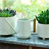 Indoor Watering Can, Pale Jade colour, by Burgon & Ball