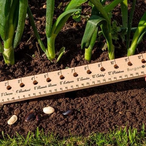 Planting Ruler – Burgon and Ball