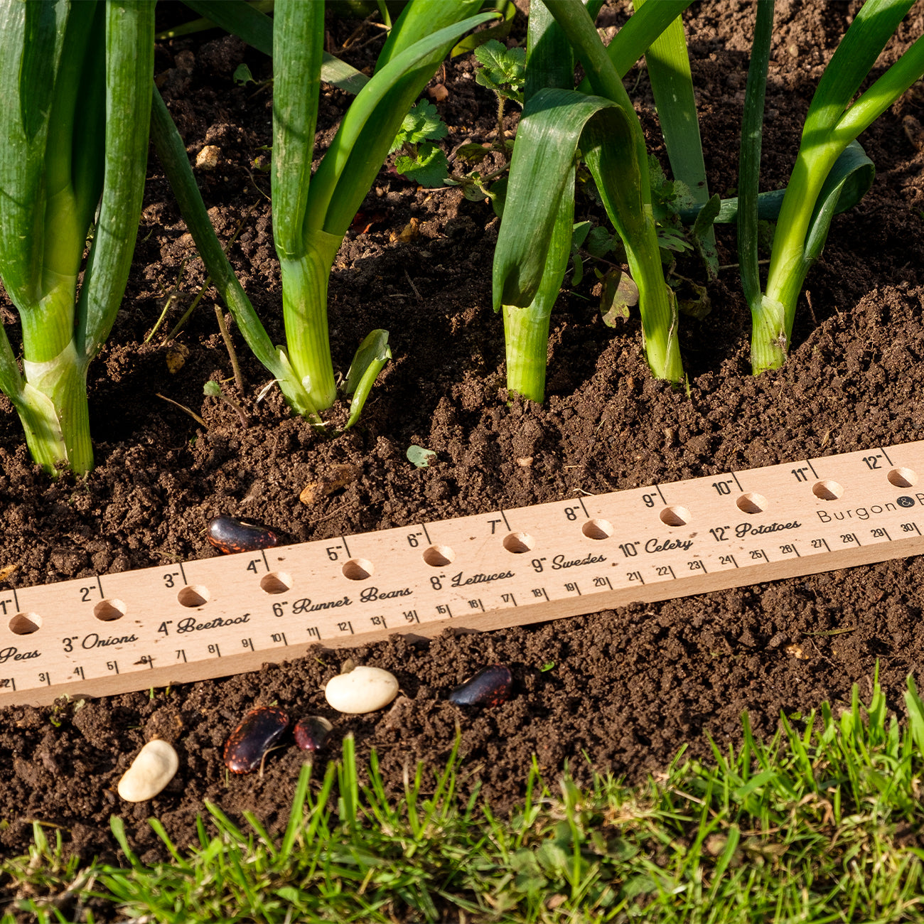Planting Ruler – Burgon and Ball