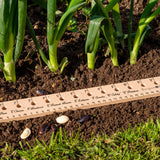 Planting Ruler by Burgon & Ball