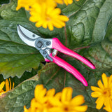 Burgon & Ball FloraBrite RHS-endorsed fluorescent pink bypass secateur