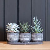 Aztec indoor plant pots (set of 3) by Burgon & Ball