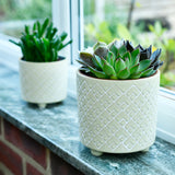 Bilbao large indoor plant pot, pale jade, by Burgon & Ball