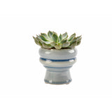 Florence glazed indoor plant pot, succulent plant pot, blue, by Burgon & Ball 