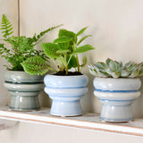 Florence glazed indoor plant pot, succulent plant pot, blue, by Burgon & Ball 