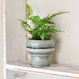 Florence glazed indoor plant pot, succulent plant pot, green, by Burgon & Ball 