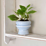 Florence glazed indoor plant pot, succulent plant pot, light blue, by Burgon & Ball 