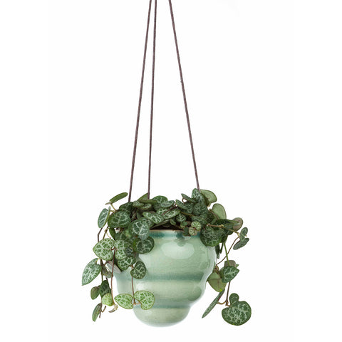 bouncing plant pots Bombini Hanging Pot Trio
