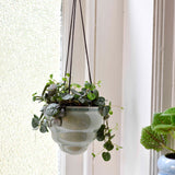 Bombini hanging pot trio by Burgon & Ball, indoor plant pots