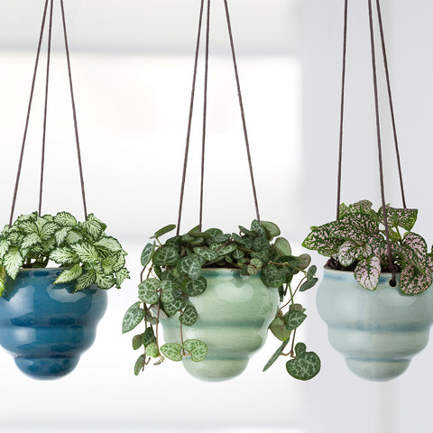 trio hanging planter Bombini Hanging Pot Trio