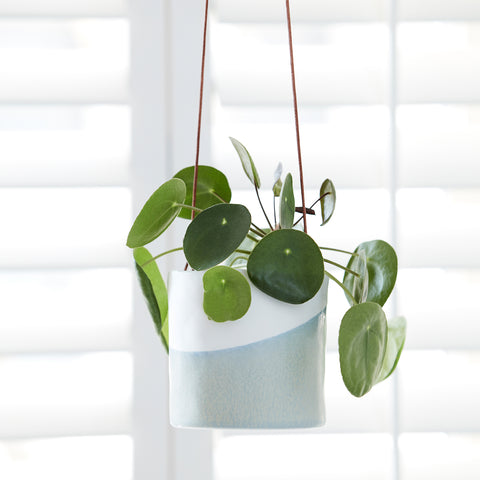 burgon and ball plant pots 'Dip' Hanging Pot