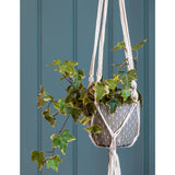 Macramé hanging plant pot by Burgon & Ball, indoor plant pot