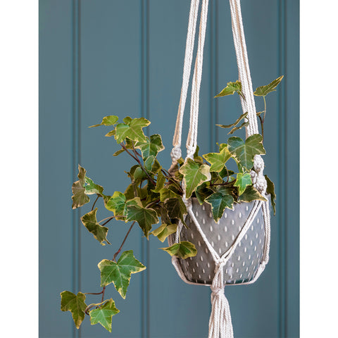 hanging plants indoor macrame Macramé Hanging Pot
