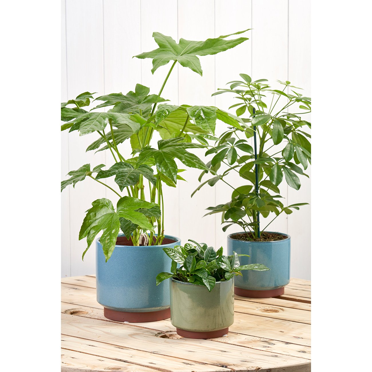 Burgon & Ball Malibu Vaso Per Interni In Gres Blu, Grande, Per Piante Grasse E Mini Piante, Smaltato
