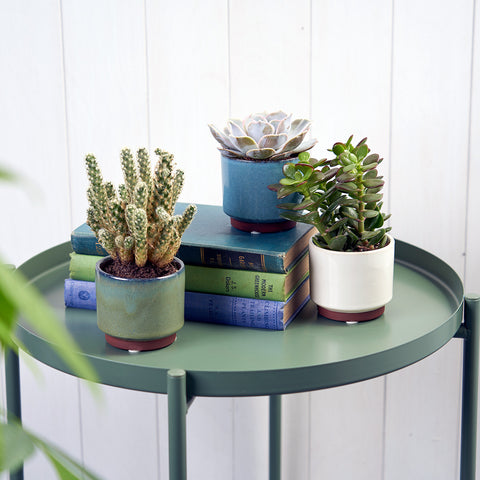 malibu succulents Malibu Succulent Pot