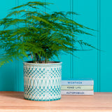 Morocco indoor plant pot by Burgon & Ball - celadon