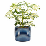 Oslo glazed indoor plant pot, large, blue, by Burgon & Ball