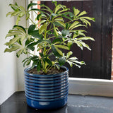 Oslo glazed indoor plant pot, large, blue, by Burgon & Ball