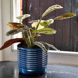 Oslo glazed indoor plant pot (small blue) by Burgon & Ball