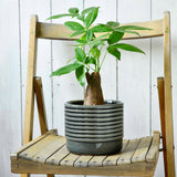 Oslo glazed indoor plant pot (large grey) by Burgon & Ball