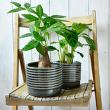 Oslo glazed indoor plant pot (large grey) by Burgon & Ball