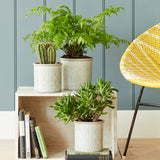 Porto grey glazed indoor plant pot by Burgon & Ball