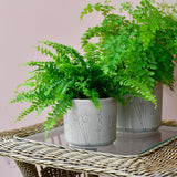 Provence indoor plant pot, small grey, by Burgon & Ball