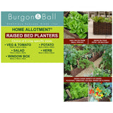 Home Allotment Compact Display Stand