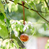 Sophie Conran for Burgon & Ball apple bird feeder  - heart design