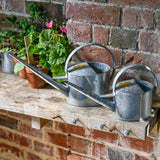 Sophie Conran for Burgon & Ball indoor & greenhouse watering can, small galvanized