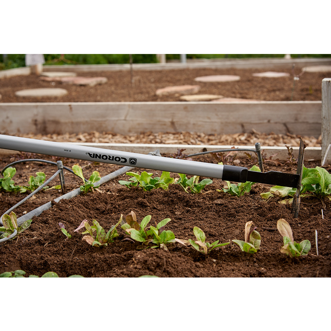 Corona ComfortGEL Extended Reach Hoe/Cultivator Burgon & Ball