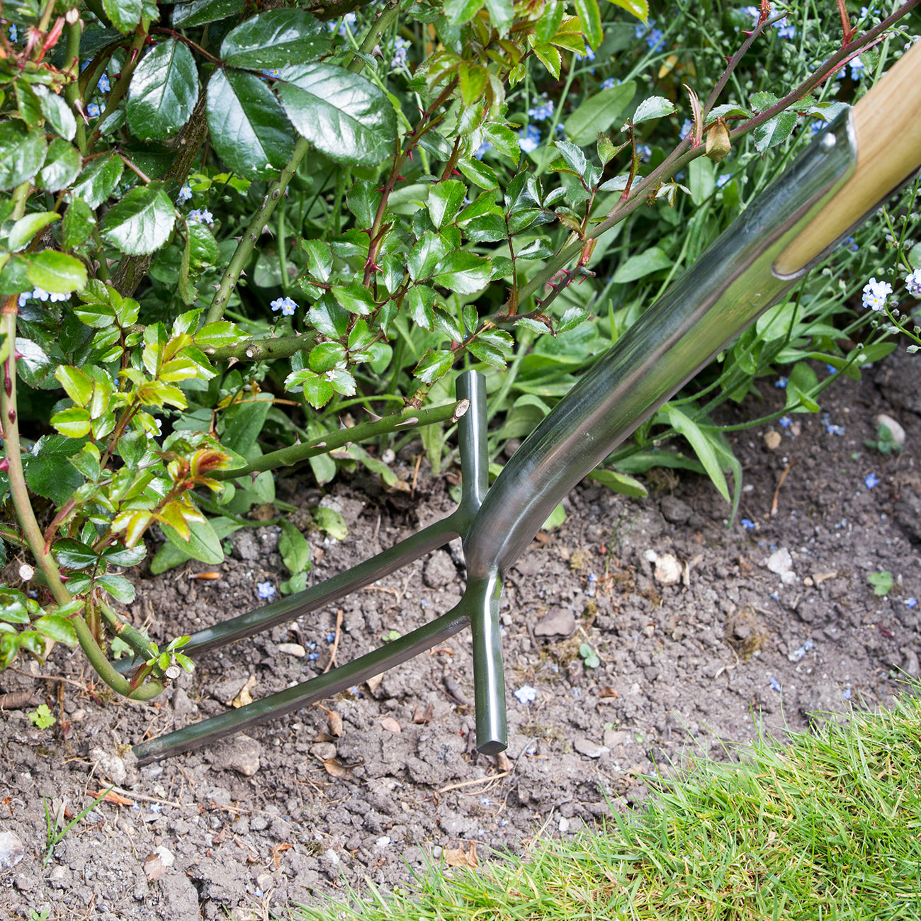 Rose and Root Fork - RHS Endorsed | Burgon & Ball – Burgon and Ball