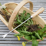 RHS-endorsed dandelion weeder by Burgon & Ball