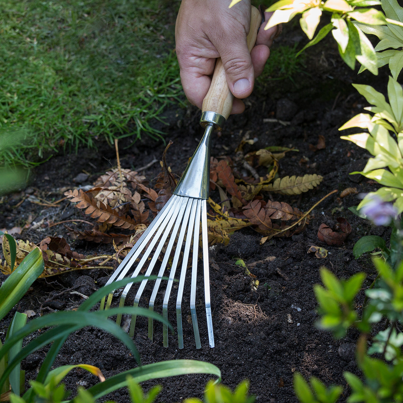 Shrub Rake | RHS Endorsed | Burgon & Ball – Burgon and Ball