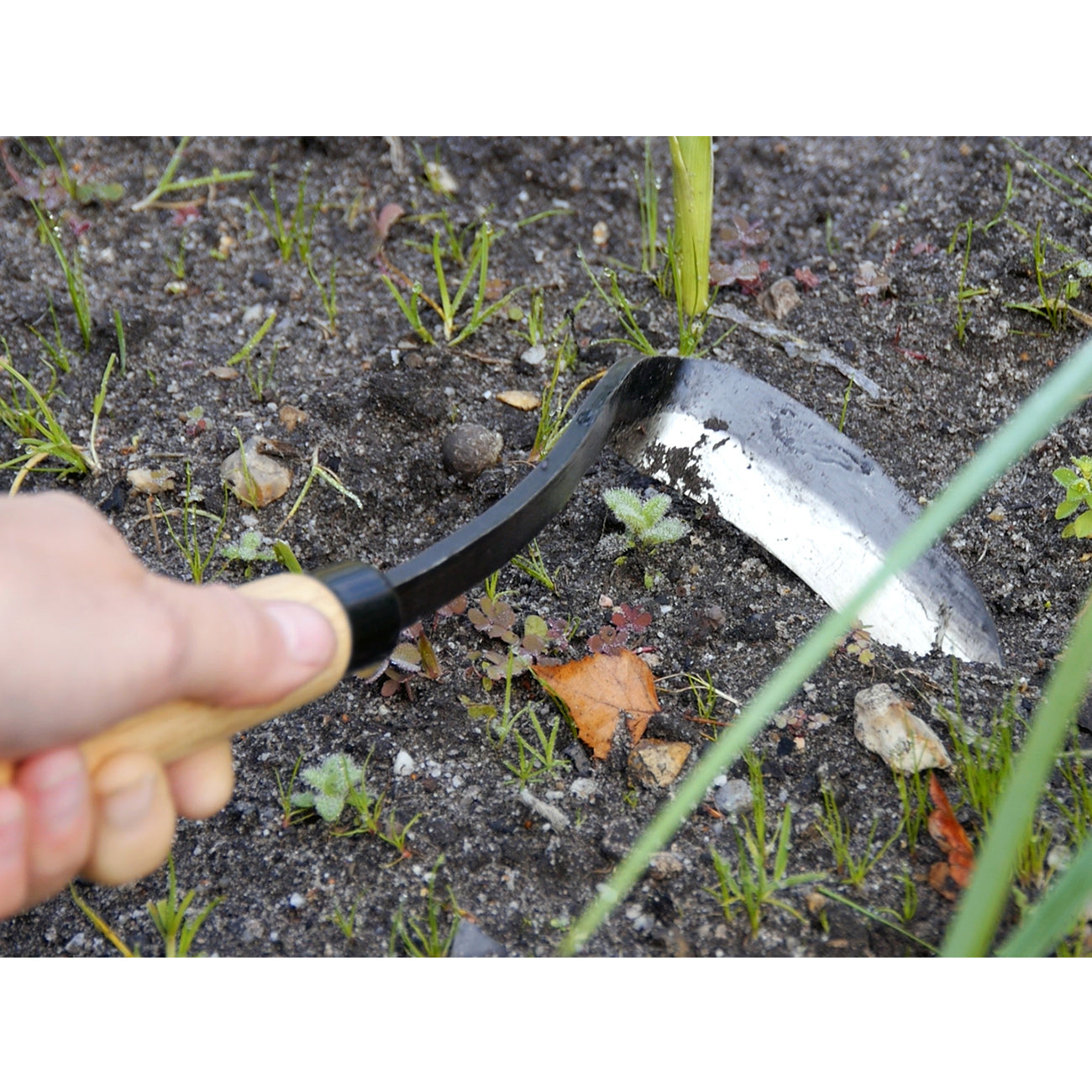 Razor Hoe - Left Handed | Burgon & Ball – Burgon and Ball