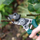 RHS-endorsed rose pruner, by Burgon & Ball