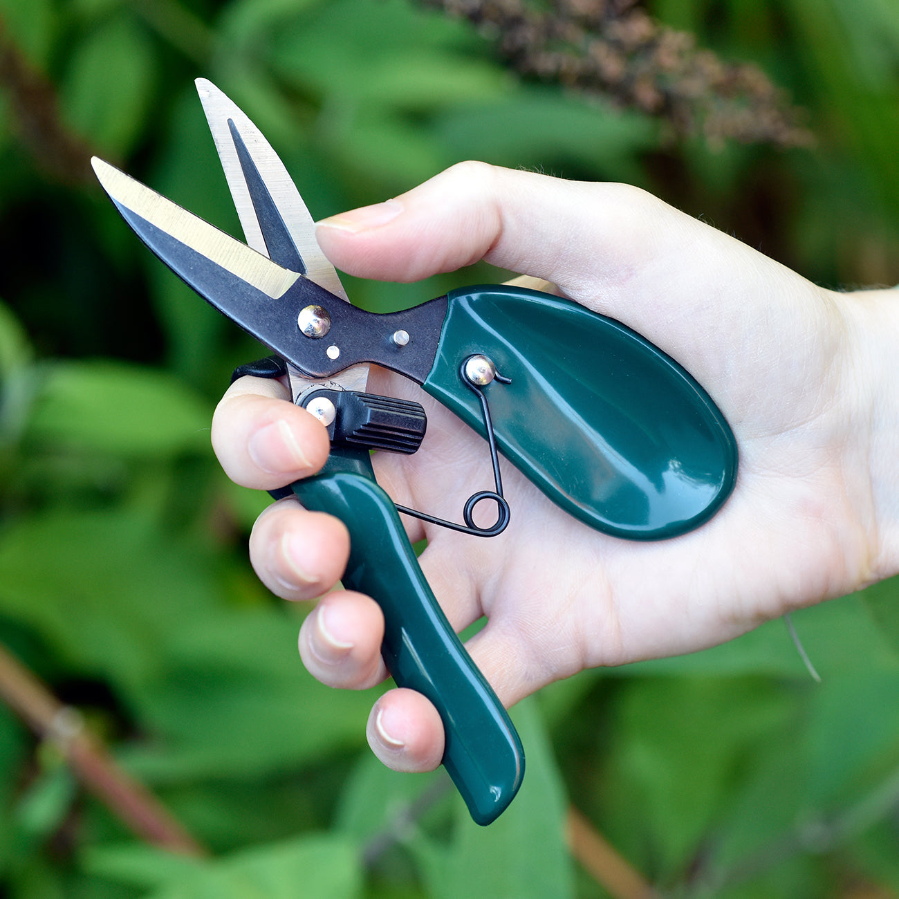 Ergo Deadheader - RHS Endorsed | Burgon & Ball – Burgon and Ball
