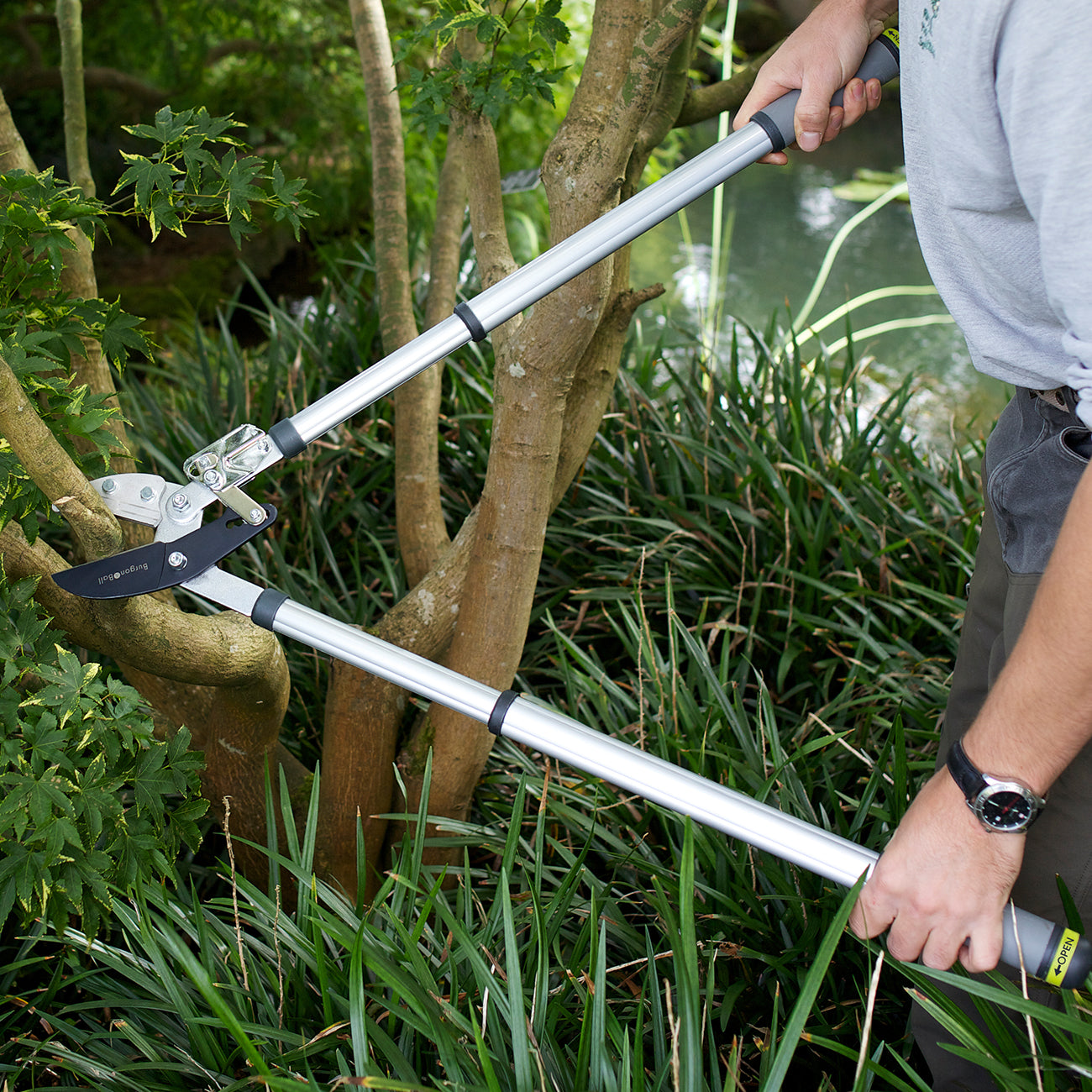 Telescopic Ratchet Lopper | RHS Endorsed | Burgon & Ball – Burgon and Ball