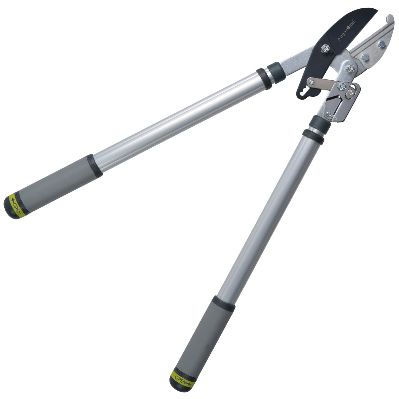 Telescopic Rhs Telescopic Ratchet Lopper | RHS Endorsed | Burgon & Ball – Burgon and Ball