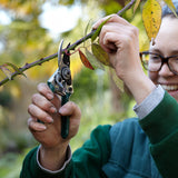 Burgon & Ball RHS-endorsed pocket pruner